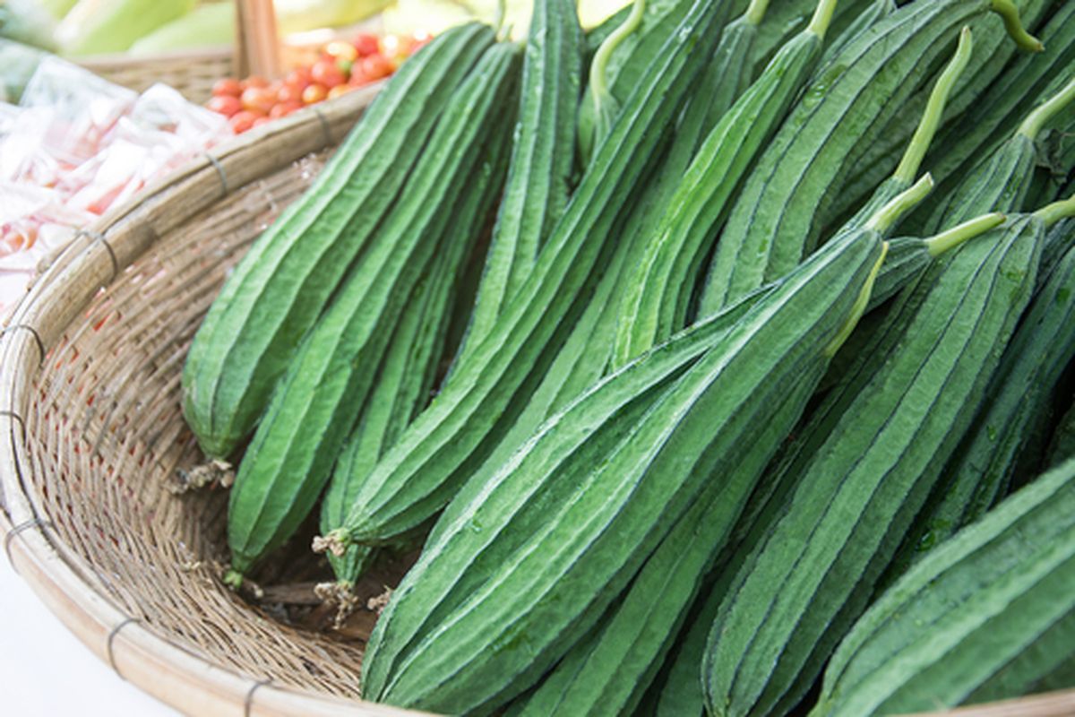 Cegah Kolesterol dan Jantung Lemah dengan Sayur Oyong